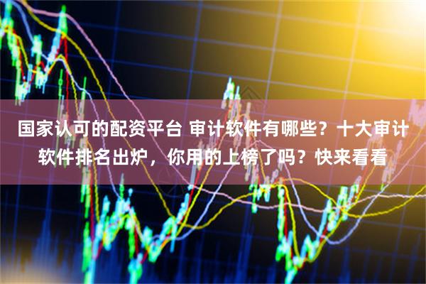 国家认可的配资平台 审计软件有哪些？十大审计软件排名出炉，你用的上榜了吗？快来看看