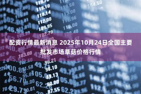 配资行情最新消息 2025年10月24日全国主要批发市场草菇价格行情